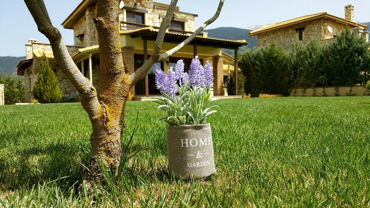 Mountain Chalet Livadi Arachova Luaran gambar