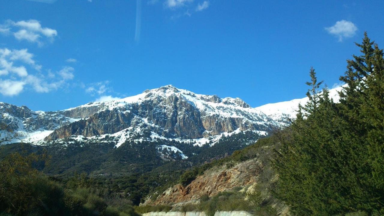 Mountain Chalet Livadi Arachova Luaran gambar